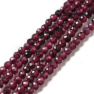 Natural Garnet Beads Strands, Faceted, Round, 2~2.5mm, Hole: 0.4mm, about 191pcs/strand, 15.35''(39cm)(X-G-I341-09A)