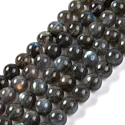 Grade AA Natural Gemstone Labradorite Round Beads Strands, 6mm, Hole: 0.8mm, about 62pcs/strand, 15.55 inch(39.5cm)(X-G-E251-33-6mm-02)