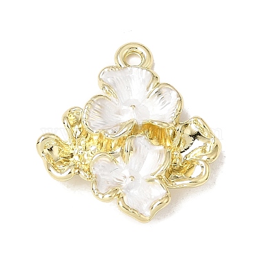 Alloy Enamel Pendants(FIND-E062-03)-2