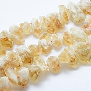 Natural Citrine Beads Strands, Top Drilled Beads, Rough Raw Stone, Nuggets, 15~38x10~16mm, Hole: 0.8~1.5mm, about 30~34pcs/strand, 15.75 inch(40cm)(G-L551C-01)