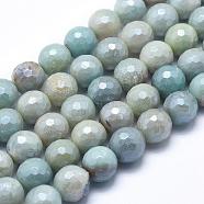 Natural Amazonite Beads Strands, Round, Faceted, 10mm, Hole: 1mm, about 38~39pcs/strand, 15.1~15.5 inch(38.5~39.5cm)(G-O164-02-10mm)