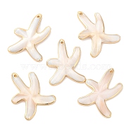 Natural Freshwater Shell Pendants, Golden Plated Brass Edged Starfish Charms, 37.5x28.5x4mm, Hole: 1.5mm(SHEL-F007-23)