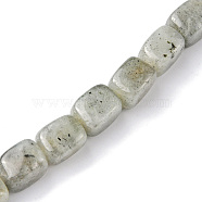 Natural Labradorite Beads Strands, Cuboid, 8.5~11x7.5~9x7.5~9mm, Hole: 1.2mm, about 20pcs/strand, 7.72~8.74 inch(19.6~22.2cm)(G-F743-02B)