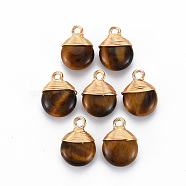 Natural Tiger Eye Pendants, with Golden Brass Findings and Iron Loop, Flat Round, 14x10.5x5.5mm, Hole: 1.8mm(G-S359-288B)