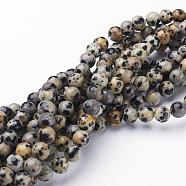 Natural Dalmatian Jasper Beads Strands, Round, 6mm, Hole: 0.8mm, about 60pcs/strand, 15 inch/strand(X-GSR6mmC004)