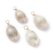 Natural Cowrie Shell Dyed Pendants, with Real 18K Gold Plated Eco-Friendly Copper Wire, Seashell Color, 24~32.5x12~16.5x11~12.5mm, Hole: 3.6mm(PALLOY-JF01206)