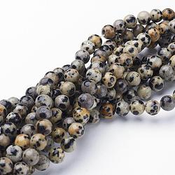 Natural Dalmatian Beads Strands, Round, Pale Goldenrod, 6mm, Hole: 0.8mm, about 60pcs/strand, 15 inch/Strand(X-GSR6mmC004)