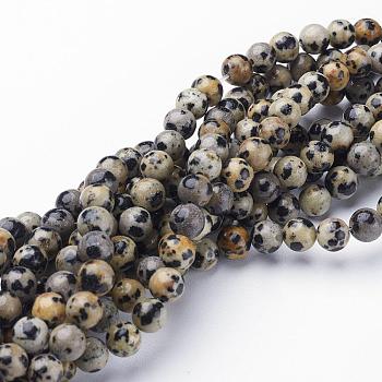 Natural Dalmatian Jasper Beads Strands, Round, 6mm, Hole: 0.8mm, about 60pcs/strand, 15 inch/strand