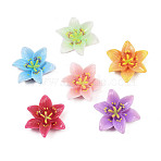 Opaque Resin Decoden Cabochons, Plumeria, Mixed Color, 30x29x8mm(CRES-D328-03)