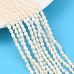 Natural Cultured Freshwater Pearl Beads Strands, Rice, Grade A+, PapayaWhip, 3~3.5mm, Hole: 0.5mm, about 78~81pcs/strand, 13.58~14.17''(34.5~36cm)(PEAR-F020-16)
