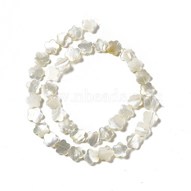 Natural White Shell Beads Strands(SHEL-F003-07)-4
