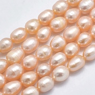 Natural Cultured Freshwater Pearl Beads Strands, Rice, Light Salmon, 7~8x6~7mm, Hole: 0.8mm, about 40pcs/strand, 14.17 inch(36cm)(PEAR-N012-06I)