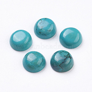 Natural Howlite Cabochons, Half Round, Dyed, Turquoise, 8x4mm(G-E482-09D)