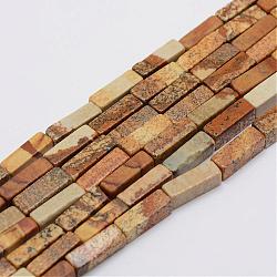 Natural Picture Jasper Beads Strands, Cuboid, 13x5x5mm, Hole: 1mm, about 29pcs/Strand, 15.3 inch(39cm)(G-E342-04)