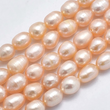 Natural Cultured Freshwater Pearl Beads Strands, Rice, Light Salmon, 7~8x6~7mm, Hole: 0.8mm, about 40pcs/strand, 14.17 inch(36cm)