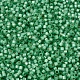 MIYUKI Delica Beads(X-SEED-J020-DB2188)-3