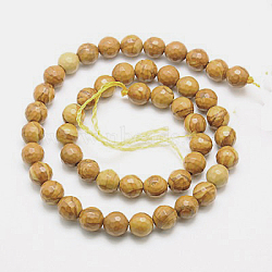 Natural Petrified Wood Beads Strands, Dyed, Faceted, Round, 6mm, Hole: 1mm, about 63pcs/strand, 15.55 inch(G-G542-6mm-06)