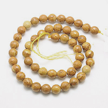 Natural Petrified Wood Beads Strands, Dyed, Faceted, Round, 6mm, Hole: 1mm, about 63pcs/strand, 15.55 inch