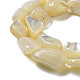 Natural White Shell Beads Strands(SSHEL-H072-15)-3