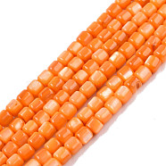 Natural Freshwater Shell Beads Strands, Dyed, Column, Dark Orange, 3.5x3.5mm, Hole: 0.8mm, about 110~113pcs/strand, 14.69 inch~15.08 inch(37.3~38.3cm)(SHEL-N003-33-A07)