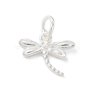 925 Sterling Silver Insect Charms, with Jump Rings, Silver Color, Dragonfly, 10x12x1.6mm, Hole: 3.8mm(STER-E071-05S-05)