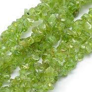 Natural Peridot Beads Strands, Grade A, Chip, 5~8mm, Hole: 1mm, about 33 inch(84cm)(X-G-P332-48)