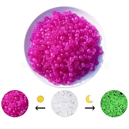 Luminous Acrylic Beads, Glow in the Dark, for DIY Jewelry Accessories, Column, Camellia, 8x6mm, Hole: 3.5mm, about 700pcs/bag(PW-WG47076-04)