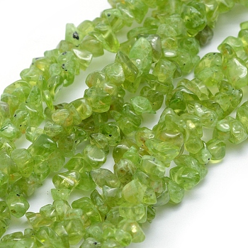 Natural Peridot Beads Strands, Grade A, Chip, 5~8mm, Hole: 1mm, about 33 inch(84cm)