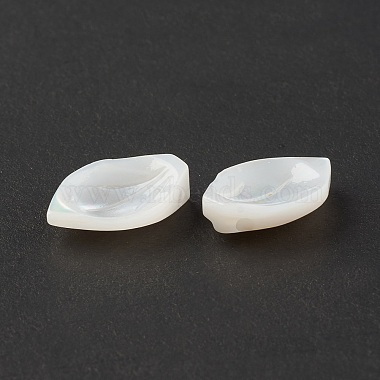 Natural Sea Shell Beads(SSHEL-T012-15)-5