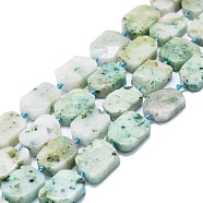 Natural Sesame Jasper Beads Strands, Rectangle, 15~17x10~15x5~7mm, Hole: 1mm, about 22pcs/strand, 15.94''(40.5cm)(G-K245-J02-01)