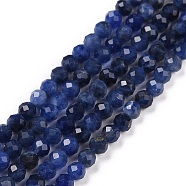 Natural Sodalite Beads Strands, Faceted, Round,  3mm, Hole: 0.6mm, about 126pcs/strand, 15.16 inch(38.5cm)(G-C009-A07)