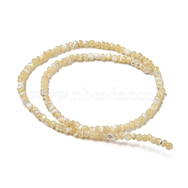 Natural Trochus Shell Beads Strands(SSHEL-H072-13A)-2