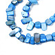 Natural Trochid Shell/Trochus Shell Beads Strands(SHEL-S258-082)-4