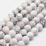 Natural Howlite Beads Strands, Faceted, Round, 6mm, Hole: 1mm, about 61pcs/strand, 14.9 inch~15.1 inch(G-D840-44-6mm)