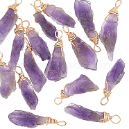 16Pcs Raw Rough Natural Amethyst Copper Wire Wrapped Pendants, Nuggets Charms, Light Gold, 23~32x5~12x5~7mm, Hole: 3mm(PALLOY-AB00104)