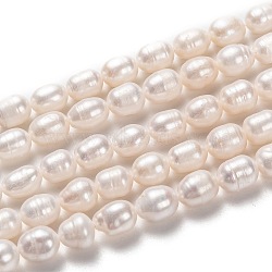 Natural Cultured Freshwater Pearl Beads Strands, Rice, Bisque, 9~10x7~8mm, Hole: 0.8mm, about 40pcs/strand, 14.17 inch(36cm)(PEAR-L033-77-01)