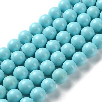 Shell Pearl Beads Strands, Grade A, Polished, Round, Turquoise, 8mm, Hole: 0.8mm, about 47~50pcs/strand, 16 inch