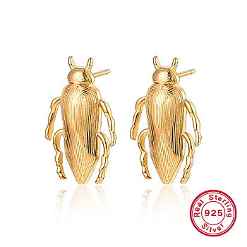 925 Sterling Silver Stud Earrings, Beetle, Golden, 30x20mm