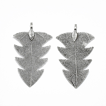 Iron Big Pendants, Electroplate Natural Leaf, Leaf, Antique Silver Plated, 63~64x35~36x1mm, Hole: 3x5.5mm