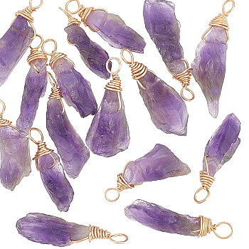 16Pcs Raw Rough Natural Amethyst Copper Wire Wrapped Pendants, Nuggets Charms, Light Gold, 23~32x5~12x5~7mm, Hole: 3mm