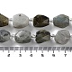 Natural Larvikite Beads Strands(G-C182-17-01)-5