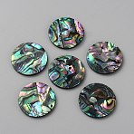 Natural Abalone Shell/Paua Shell Cabochons, Colorful, Flat Round, 19.5x1.6mm(SHEL-WH0007-03A)