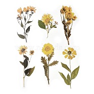 6Pcs Plant PET Adhesive Waterproof Stickers, for DIY Photo Album Diary Scrapbook Decoration, Sunflower, Yellow, 128~200x90~102x0.1mm(DIY-K074-01D)