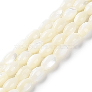 Natural Trochus Shell Beads Strands, Rice, Floral White, 7.5x4.5~5mm, Hole: 0.8mm, about 52pcs/strand, 15.75''(40cm)(BSHE-E030-02A)
