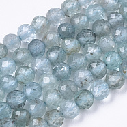 Natural Apatite Beads Strands, Round, Faceted, 3mm, Hole: 0.7mm, about 125pcs/strand, 15.35 inch(39cm)(G-R462-026B)