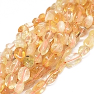 Natural Citrine Beads Strands, Nuggets, Dyed & Heated, 7~10x7~8x5~6mm, Hole: 0.8mm, about 49pcs/Strand, 15.75 inch(40cm)(G-D0004-A02-07)