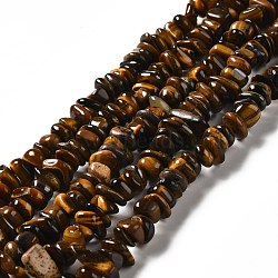 Natural Tiger Eye Beads Strands, Nuggets, 2x7mm, Hole: 1mm, about 94pcs/strand, 15.55''(39.5cm)(G-B026-03)