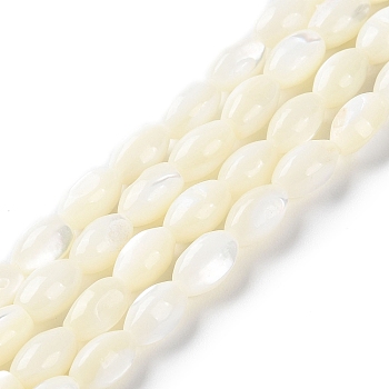 Natural Trochus Shell Beads Strands, Rice, Floral White, 7.5x4.5~5mm, Hole: 0.8mm, about 52pcs/strand, 15.75''(40cm)
