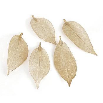 Electroplated Natural Leaf Big Pendants, with Iron Findings, Light Gold Plated, 70~100x30~50x1mm, Hole: 3x6mm