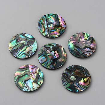 Natural Abalone Shell/Paua Shell Cabochons, Colorful, Flat Round, 19.5x1.6mm